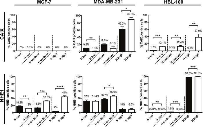 Quantitative analysis of CAIX and NHE1 protein expression levels in multicellular tumor spheroids.