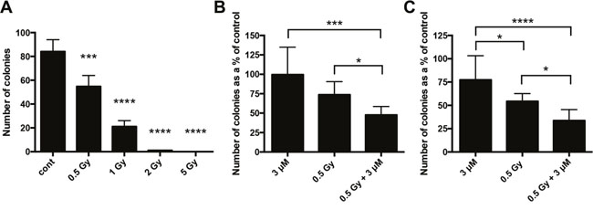 Clonogenic assays assessing the combination of drugs targeting CAIX and NHE1 with irradiation.