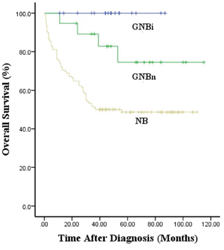 Kaplan&#x2013;Meier survival curves in patients with NB, GNBn and GNBi.