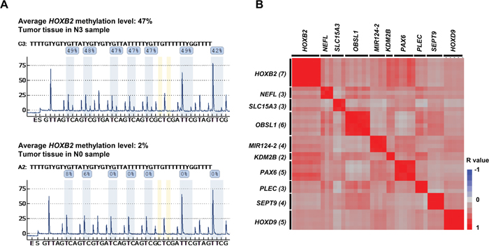 DNA methylation analysis by pyrosequencing.