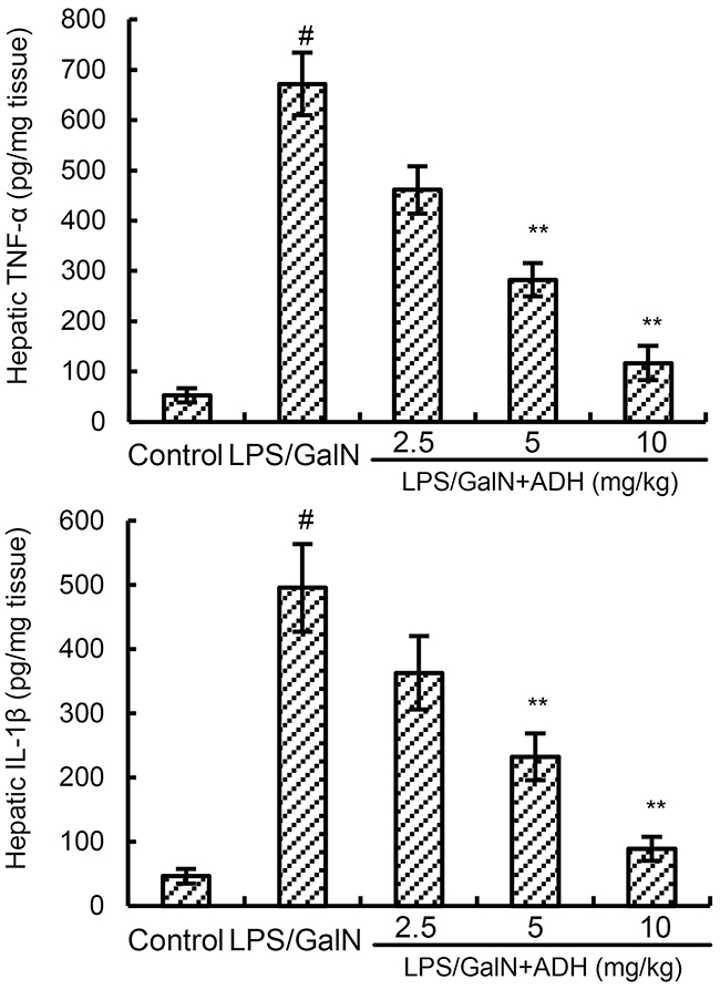 Effects of ADH on hepatic TNF-&#x03B1; and IL-1&#x03B2; levels.