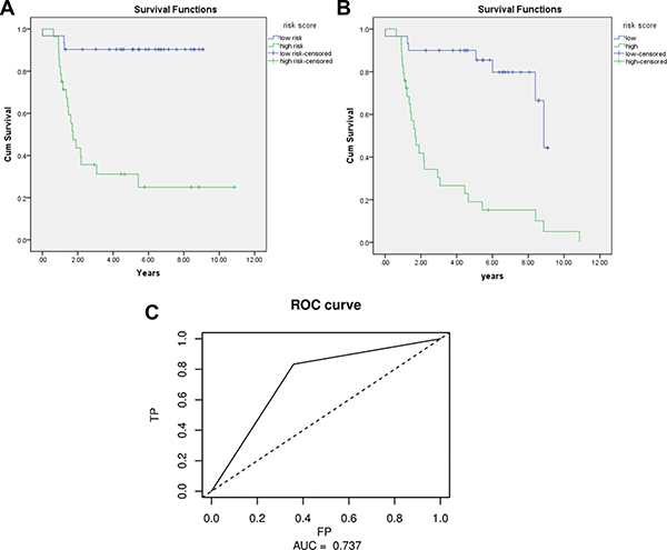 Kaplan-Meier for OS/DFS in low risk and high risk group and AUC curve for the risk score.