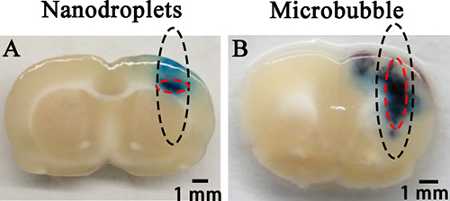 Figure 5: