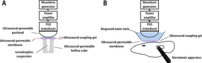 Figure 6: