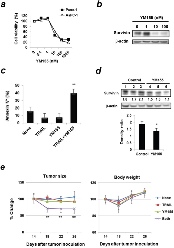 Survivin suppressant YM155 sensitizes Panc-1 cells to TRAIL both in vitro and in vivo.