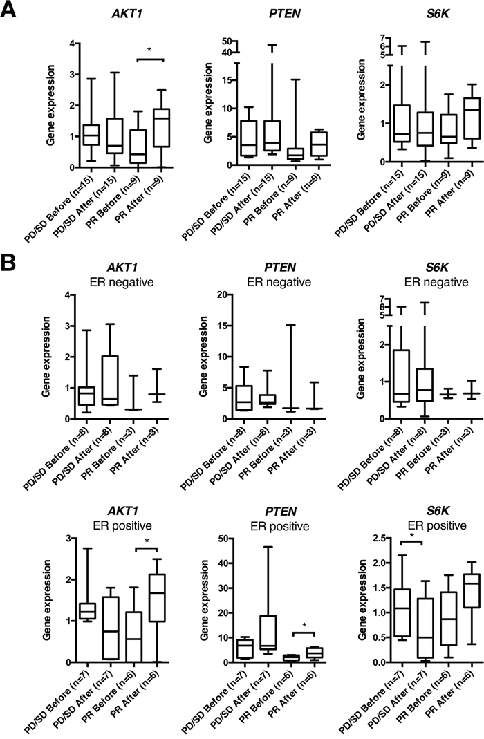 AKT1, PTEN and S6K gene expression in human breast cancers before and 24 hrs after epirubicin exposure.