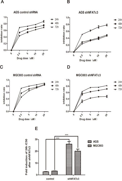 Curves of cell inhibition rates in GC cells treated with As4S4 after the transfection of the Lentiviruses carrying NFATc3 shRNA.