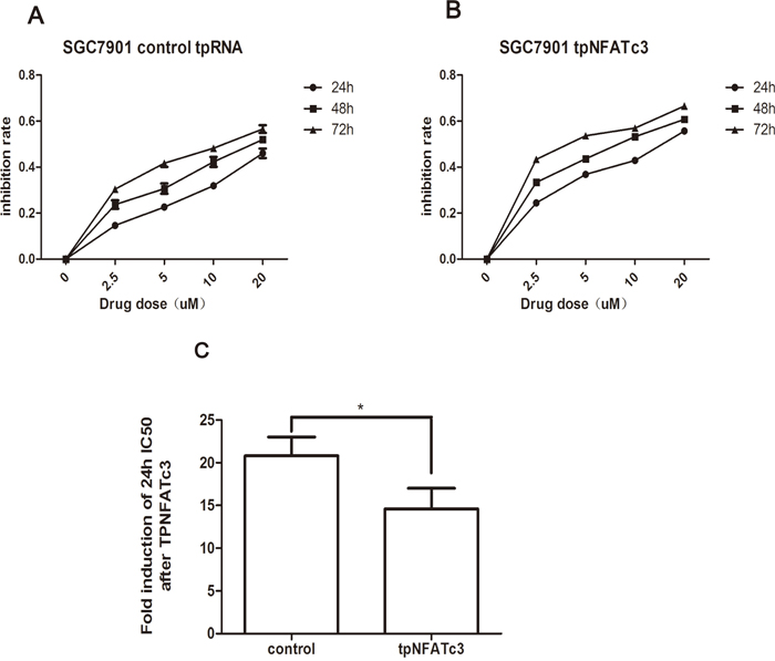 Curves of cell inhibition rates in SGC7901 cell treated with As4S4 after the transfection of the plasmid carrying NFATc3 tpRNA.