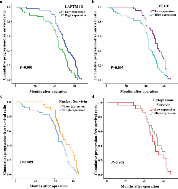 Kaplan-Meier curves for progression-free survival in 110 patients with breast cancer.
