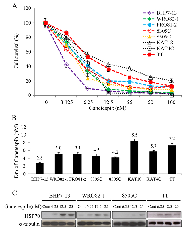 Ganetespib induces cytotoxicity and increases HSP70 expression in thyroid cancer cells.