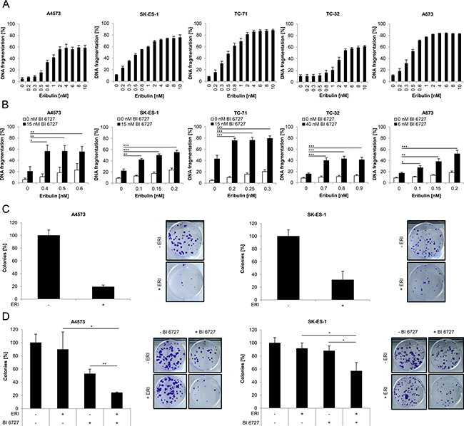 Eribulin induces cell death in ES cells and cooperates with the PLK1 inhibitor BI 6727.