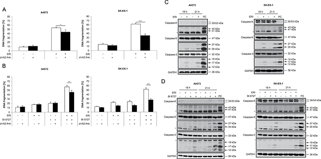 Caspases contribute to eribulin- and eribulin/BI 6727-induced cell death.