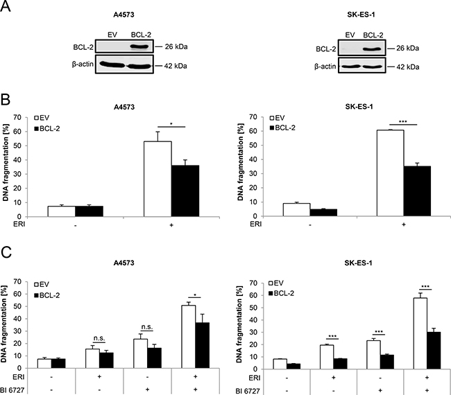 BCL-2 overexpression partially rescues eribulin- as well as eribulin/BI 6727-induced cell death.