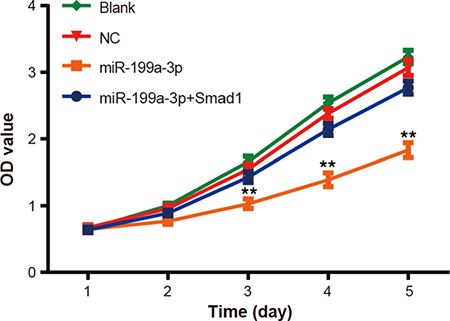 The effect of miR-199a-3p overexpression on PC-3 cell proliferation was evaluated by MTT assay.