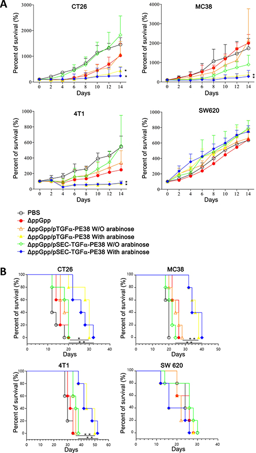 Figure 4: