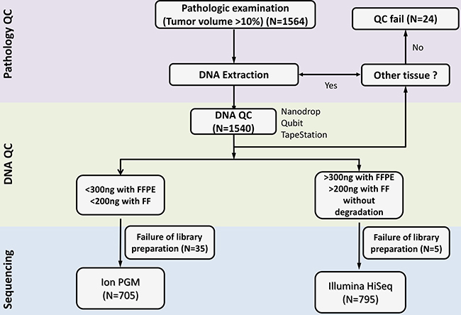 NGS workflow at our institute starting from DNA extraction to quality control and sequencing.