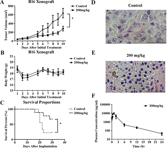 Antitumor efficacy of YL001 in a xenograft tumor model.