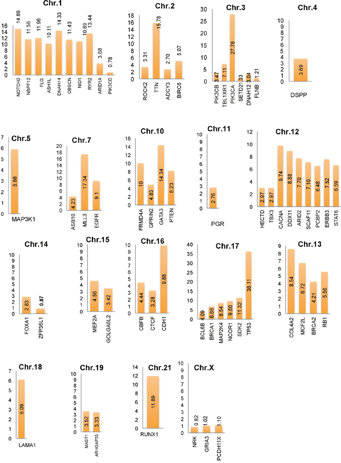 Average breast cancer gene mutations identified using cBioPortal projects (4162 breast cancer samples) along with identified top candidate driver genes and their respective chromosomes locations.