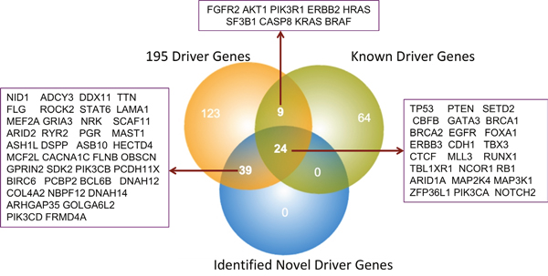 Overall comparisons between published and identified BRCA driver genes.