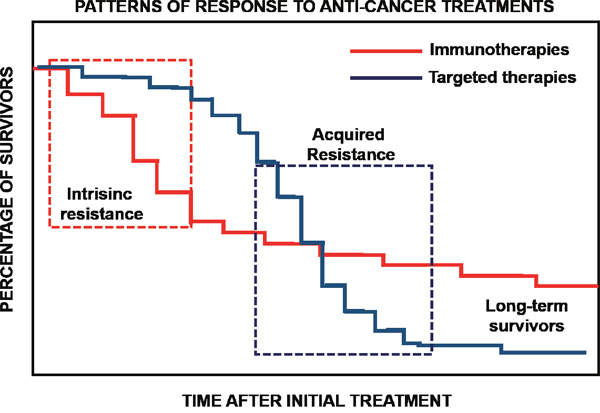 Immunotherapies and targeted therapies display distinct patterns of response.