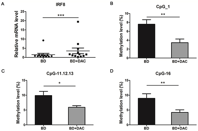 DAC treatment showed a demethylation effect and increased the mRNA expression of IRF8 in DCs from active BD patients.