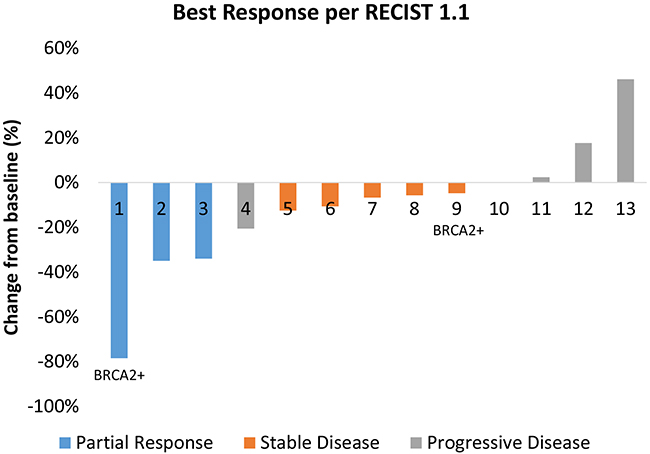 Best tumor response for each evaluable patient.