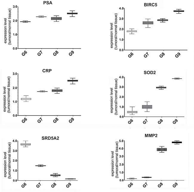 Expression analysis of STAT3 dependent genes in FFPE samples with different Gleason score.