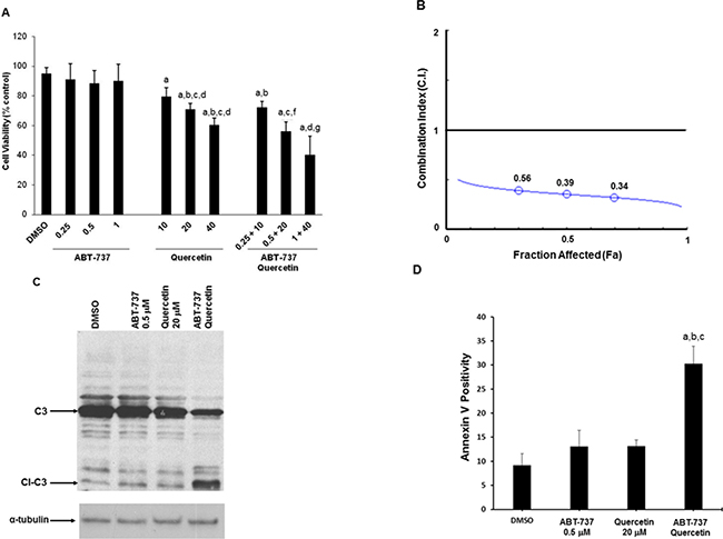 Quercetin in association with ABT-737 induces apoptosis in HG3 cells.