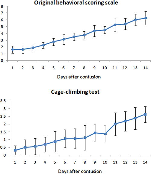 Neurological function of the animals evaluated by two methods: Original behavioral scoring scale and cage climbing test.