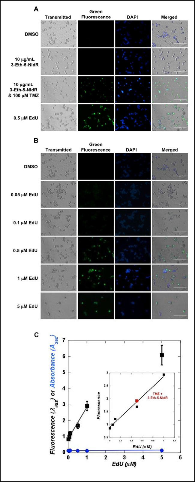 Figure 4: