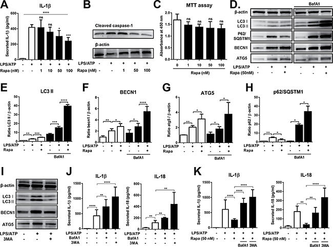 Rapamycin inhibits NLRP3 inflammasome activation through autophagy induction.