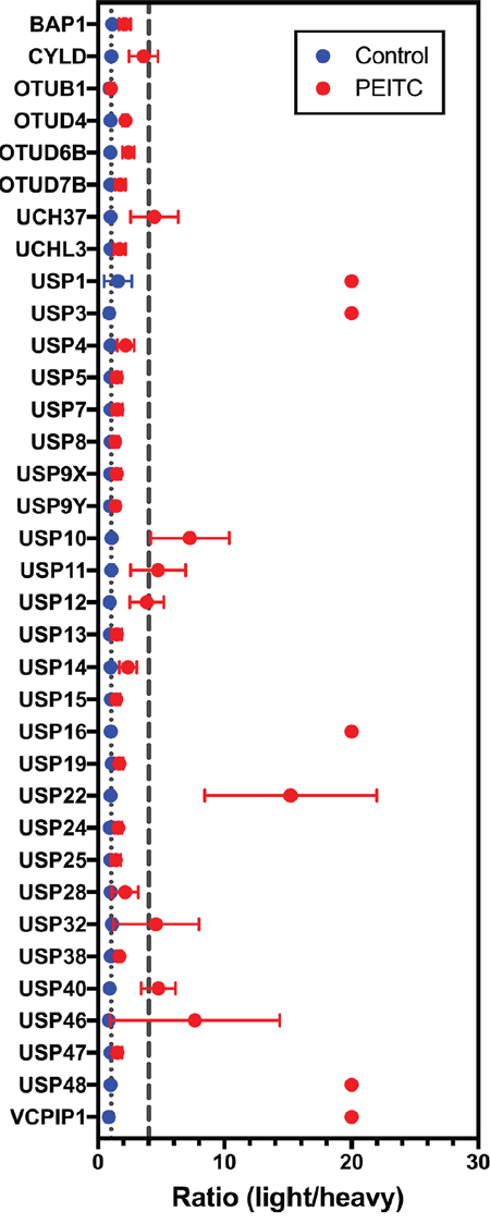 DUB targets of ITCs in HeLa cell lysates identified using SILAC-assisted quantitative MS.