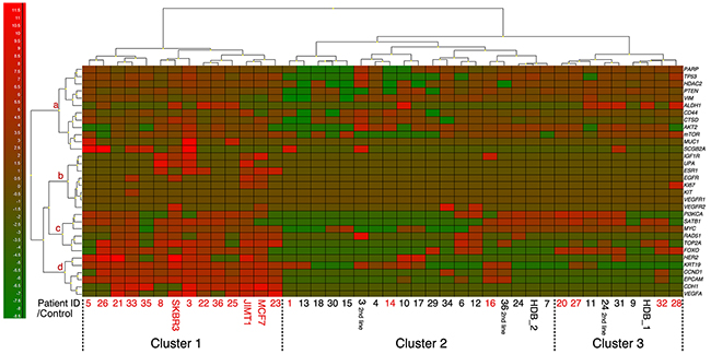 Mean-centered heatmap showing the expression of 32 genes detectable in at least one of the BL samples.