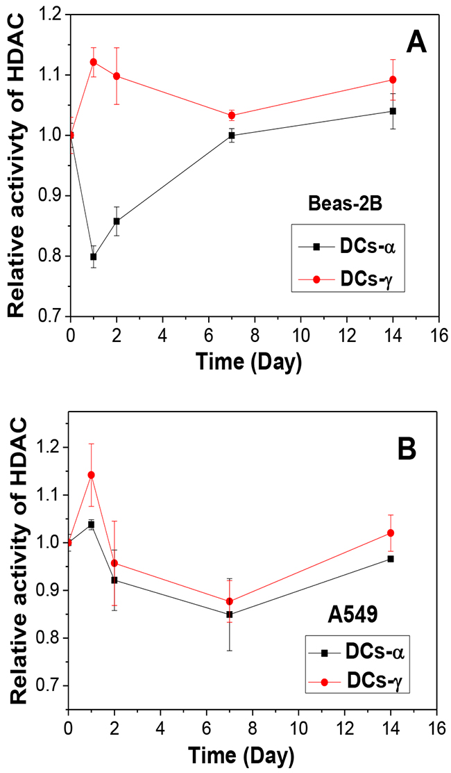 Time responses of HDAC activity in DCs-&#x03B1; and DCs-&#x03B3; after priming irradiation.