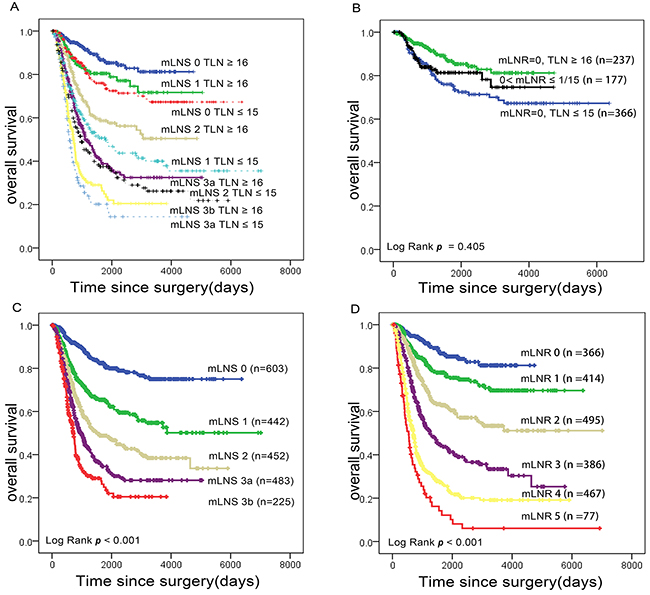 Impact of mLNS and mLNR staging on gastric cancer-related survival respectively.