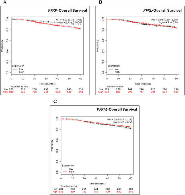 Kaplan-Meier Survival analysis of PFKP, PKFL, and PKFM in breast cancer patients.
