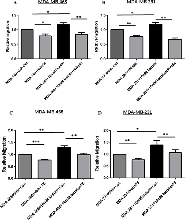 Lactate-induced migration of breast cancer cells impaired in MDA-MB-468 cells stimulated with rWNT5A or Foxy5.