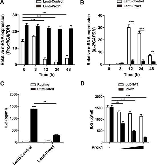 Overexpression of Prox1 inhibits IL-2 expression.