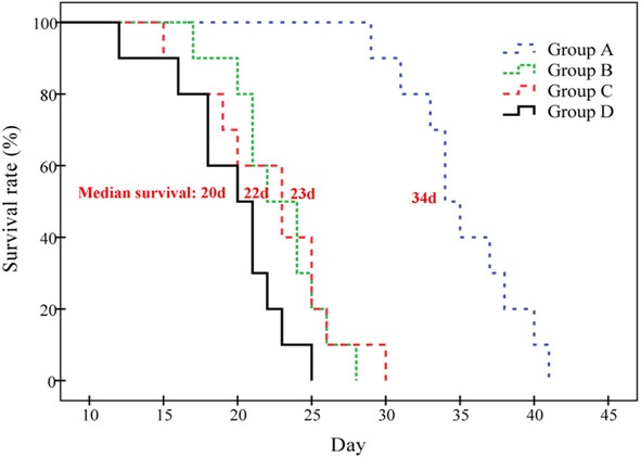 Kaplan-Meier survival curves show the survival probability (%) of the four groups of S180 tumor-bearing mice.