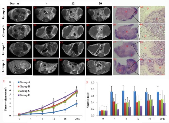 Contrast enhanced T1 (CE-T1) MR images of representative tumor bearing mice from 4 groups on day 0 (A1-D1), 4 (A2-D2), 12 (A3-D3), 20 (A4-D4).