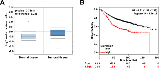 Api5 is up-regulated in breast cancer and high expression of Api5 correlates with survival of breast cancer patients.