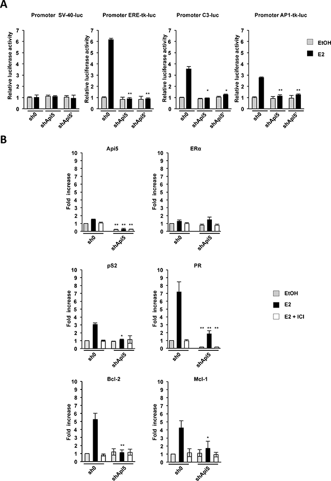 Api5 depletion affects ER&#x03B1; target genes expression.