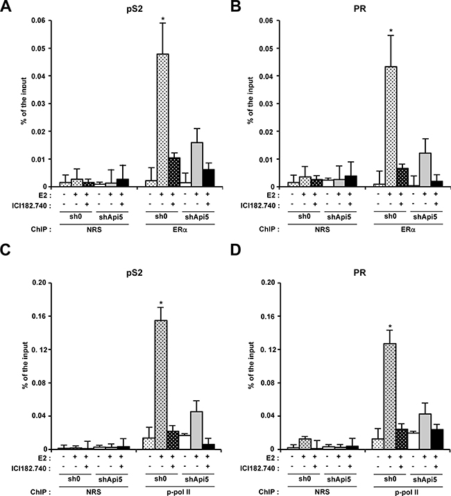 Api5 increases ER&#x03B1; association to pS2 and PR promoters and participates to their transcriptionnal activation upon E2 treatment.