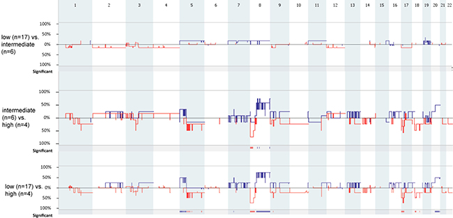 Genome-wide comparison between low (n = 17) vs. intermediate (n = 6), intermediate (n = 6) vs. high (n = 4), and low (n = 17) vs. high (n = 17) grade MEC samples. Gains are portrait in blue and losses are portrait in red.