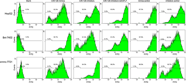 The transfection efficiency of recombinant plasmids pLEGFP-N1-miR-126 mimic, pLEGFP-N1-miR-126 inhibitor, pLEGFP-N1-miR-126 mimic NC, pLEGFP-N1-miR-126 inhibitor NC and pLEGFP-N1-si EGFL7 determined by flow cytometry.