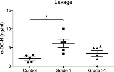 ELISA detection of &#x03B1;-DG-N in the uterine lavage.