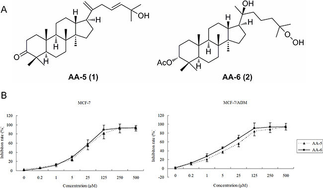 Inhibition of cell viability by AA-5 (1) and AA-6 (2).