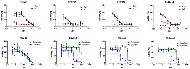 The cytotoxicity results of CVV and anticancer drugs on HCC.