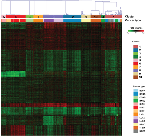 Consensus clustering result of 633 paired tumor-normal samples.