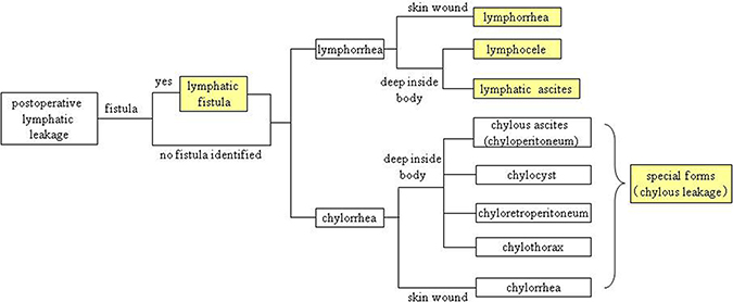 Classification of postoperative lymphatic leakage.